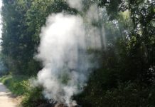 Verdacht der Brandstiftung