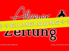 Absturz eines Kleinflugzeugs – eine Person verstorben