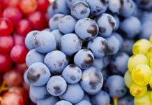 „QueerWein Rheinland-Pfalz“ – Botschafter für Sichtbarkeit und Akzeptanz sexueller und geschlechtlicher Vielfalt