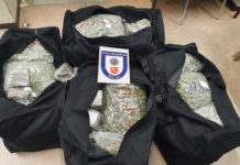 Wormser Kripo landet COUP! 80 Kilogramm Marihuana und 15 kg Haschisch im Wert von 800.000 Euro sichergestellt