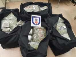 Wormser Kripo landet COUP! 80 Kilogramm Marihuana und 15 kg Haschisch im Wert von 800.000 Euro sichergestellt