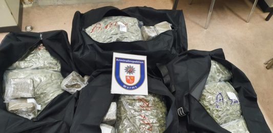 Wormser Kripo landet COUP! 80 Kilogramm Marihuana und 15 kg Haschisch im Wert von 800.000 Euro sichergestellt
