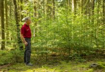 Forstamt Rheinhessen lädt zum Internationalen Tag der Wälder ein