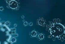 Gesundheitsamt passt Informationsprozess für Corona-Infizierte an