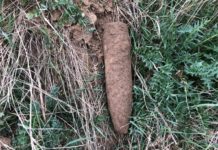 Sprenggranate am Feldweg gefunden