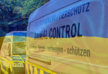 Berufstierrettung Rhein-Neckar fährt gemeinsam mit australischem Rettungsteam ins Kriegsgebiet