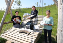 Alzey-Worms – Rheinhessen aktiv erleben“Tourismusbroschüre 2022/23 erschienen