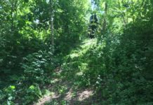 Krankenstuhlfahrer fährt in die Pfrimm