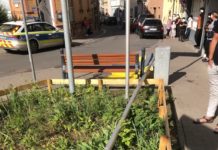 Alzey: Fahnenmast kippt auf Person