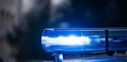 Wormser Polizei wird bei Kontrollen fündig – mehrere Ermittlungsverfahren eingeleitet