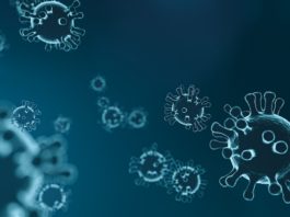 Hepatitis-A-Fall in der Alzeyer Kita Walter Zuber