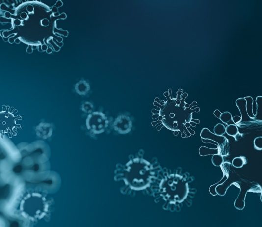 Hepatitis-A-Fall in der Alzeyer Kita Walter Zuber
