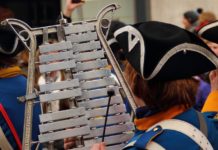 Noch Teilnehmer für Alzeyer Umzug gesucht – Hoffmann verärgert über Berichterstattung