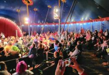 Alzey im Fastnachtsfieber