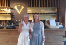 Amtsübergabe beim Lions Club Alzey