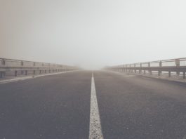 A63 – Fahrbahnsanierung zwischen den Anschlussstellen Kirchheimbolanden und Freimersheim startet