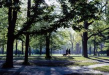 Versuchter Hundediebstahl – Zeugen gesucht