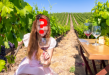 ALZEYER WEINHOHEIT 2024 GESUCHT