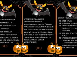 ‚Spinnenhaus‘ in Bornheim öffnet wieder zu Halloween