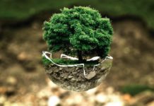 ALZEY SUCHT BAUM- UND GRÜNFLÄCHENPATEN