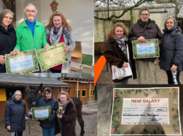 Charity-Weihnachtsmarkt am NEW GALAXY brachte über € 4.000 für den Tierschutz