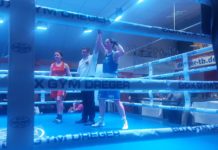 Reibungsloses Offenes Box-Turnier begeistert Fans und Athleten