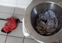 Ärger durch verstopfte Klos in Alzey