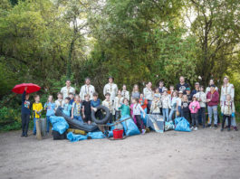 Erfolgreiche Müllsammelaktion der ROYAL RANGERS in Alzey