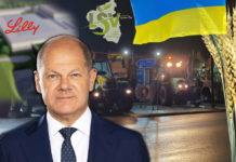 Alzey, Kanzler, Eli Lilly, Ukraine-Weizen und Bauerndemo – wie passt das zusammen?