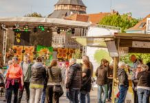 It’s Scheu time: Alle Infos zum ersten Weinfest 2024 in Alzey