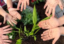 Alzeyer Schulen pflanzen Blumen für das Stadtbild