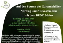 Auf den Spuren der Gartenschläfer – Vortrag und Nistkasten-Bau mit BUND Mainz