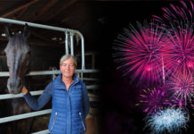 Winzerfest Feuerwerk rund 200m neben Pferdestallung abgefeuert – Tierschutzrechtlich unbedenklich?