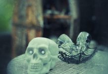 Halloween: Ursprung und heutige Feierfreude