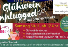Weihnachtswäldchen am Alzeyer Fischmarkt