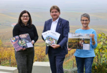 „Alzey-Worms – Rheinhessen aktiv erleben“ Neue Tourismusbroschüre erschienen