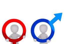 Wenig Andrang in den Standesämtern von Alzey-Worms nach Inkrafttreten des Selbstbestimmungsgesetzes