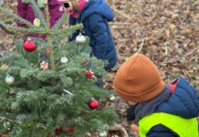 Waldweihnacht 2024: Kita „Haus der Klänge“ feiert mit den Tieren des Waldes