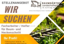 Facharbeiter / Helfer für Baum- und Heckenschnitt gesucht (m/w/d)