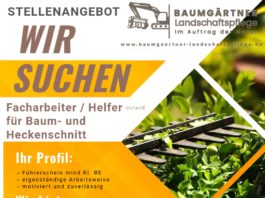 Facharbeiter / Helfer für Baum- und Heckenschnitt gesucht (m/w/d)
