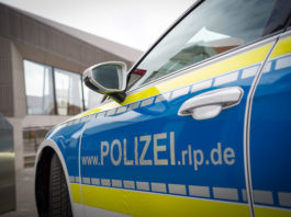 Diebstähle aus acht Fahrzeugen im südlichen Stadtbereich von Alzey