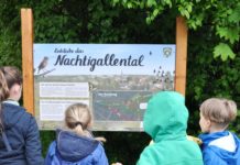 Frühlingserwachen am Flomborner Naturlehrpfad