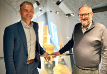 Alzeyer Museum: Prof. Dr. Tim Kerig übernimmt die Leitung