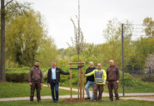 Winterlinde für den Robinson-Spielplatz: Alzeyer Zeitung setzt Zeichen für Natur und Gemeinschaft