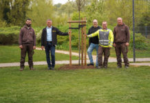 Alzeyer Zeitung spendet Winterlinde