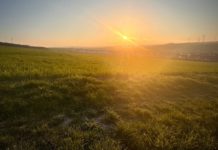 Wohnraum kommt – Grünfläche geht – Neues Baugebiet „Am Steinmannsrech“ beschlossen