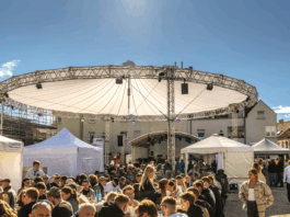 Winzerfest in Alzey: Diese Einrichtungen bleiben geschlossen oder öffnen kürzer