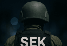 SEK-Einsatz nach eskalierter Nachbarschaftsstreitigkeit in Alzey