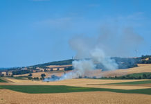Flächenbrände im Bereich Alzey