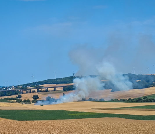 Flächenbrände im Bereich Alzey
